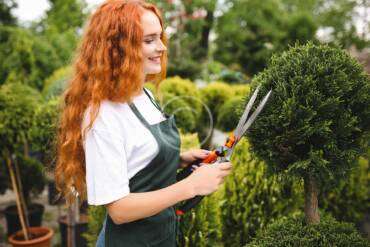 Creative pathway ideas for backyard gardens