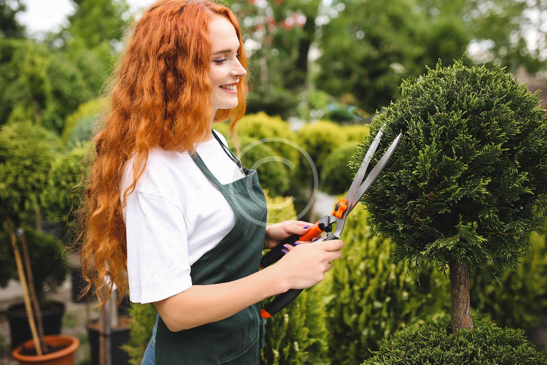 Creative pathway ideas for backyard gardens