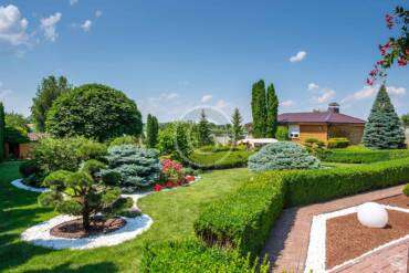 Transform your yard with simple landscaping