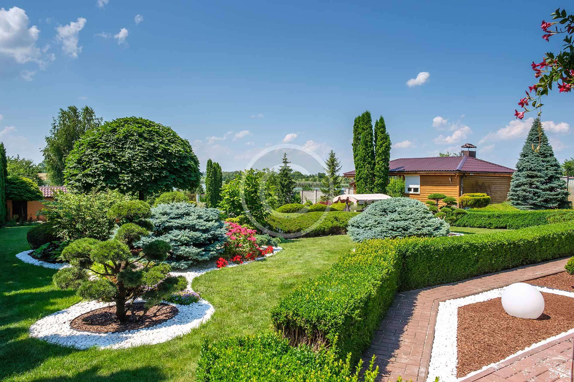 Transform your yard with simple landscaping